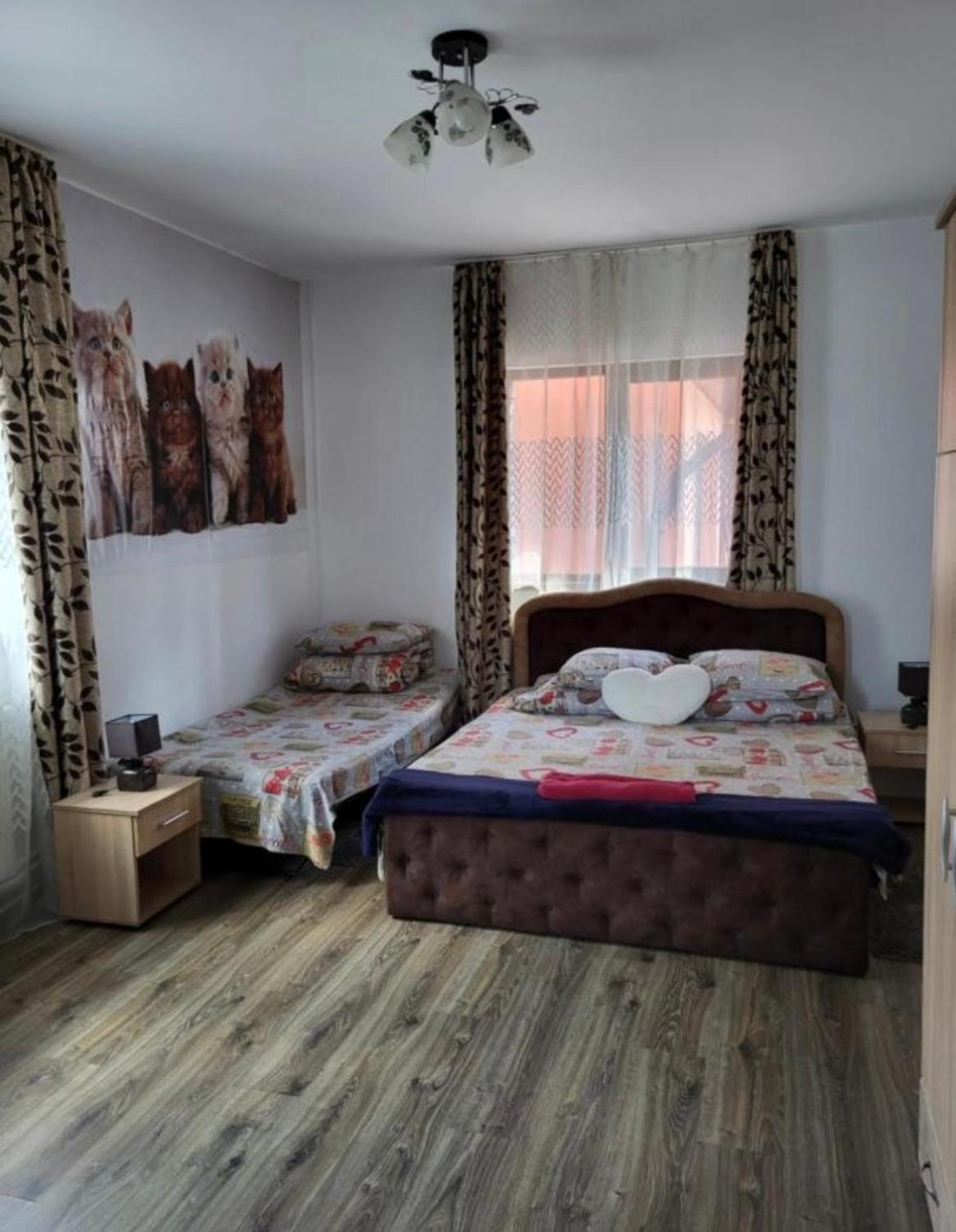 Apartment Casa Raraului