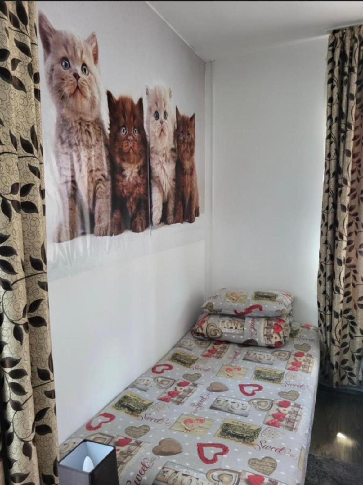 Casa Raraului Apartment